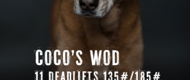 My Best Friend, Coco; A Tribute and WOD.