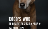 My Best Friend, Coco; A Tribute and WOD.