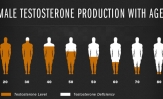 Testosterone Supplements; Do they work?